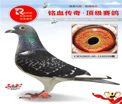 天津宇航公棚决赛166名