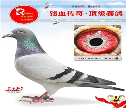 蓝色王朝、凡登布克家族