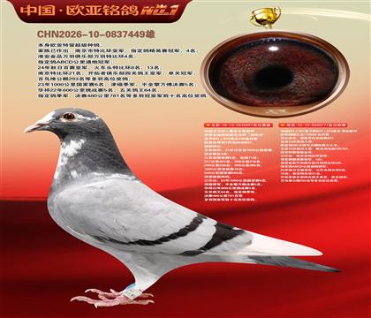 电脑097国家赛1500公里4名X桑杰士777