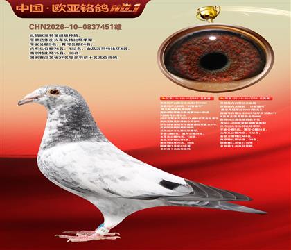 乔斯托内白雪公主683X209