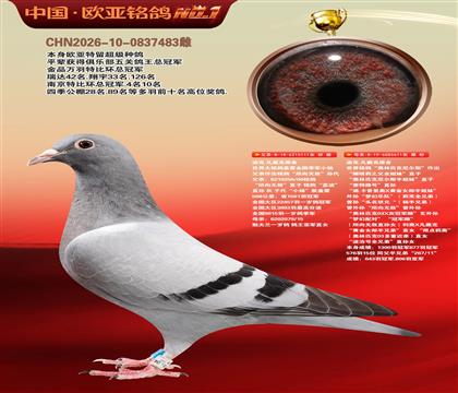迪克.凡戴克原舍111X611奥林匹克尼尔斯