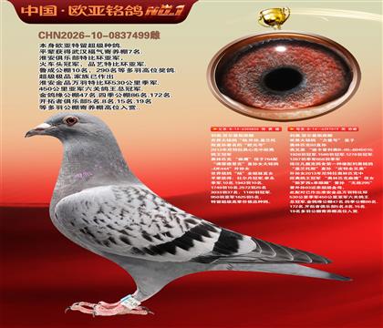 利奥原舍杨外孙855X迪卡普利奥力量号019