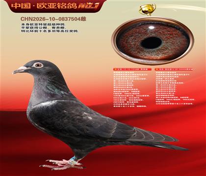 乔斯桑杰士黑色快车688X008