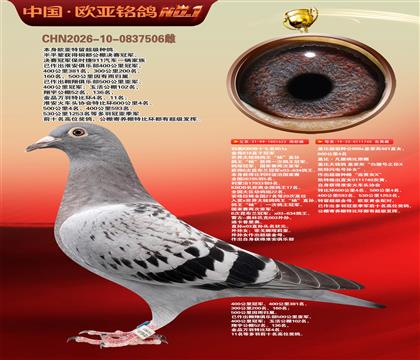 利奥851直子622冠军X盖比600公里四名740