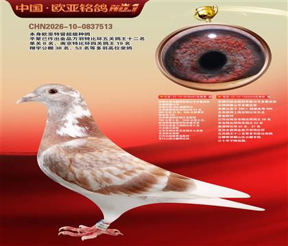 西佛依托全国冠军泰山号多重近亲481X256