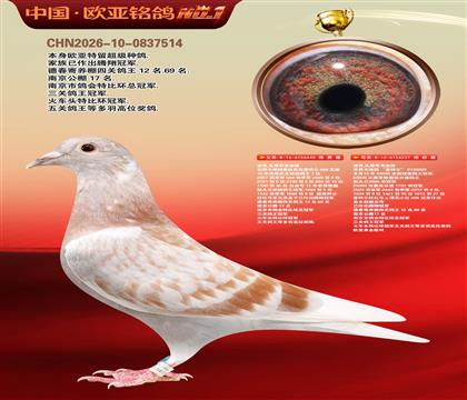 迪克.凡登布克440X基特尔237黄金配对