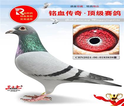 超级速度直子、指定利器