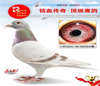 回春阳740直孙女
