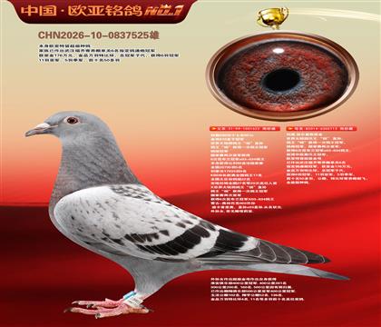 利奥KBDB622×利奥·贺尔曼斯原舍713直女