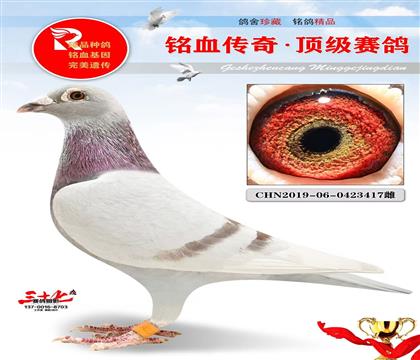 回春阳老红公直孙女、最高辈分