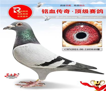 无限号家族、特别好