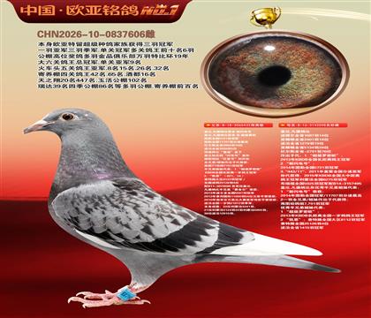 盖比原舍新闪电号直子432X鲁迪直女098