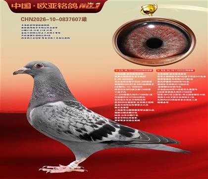 威廉.迪布鲁恩原舍哈利542X523