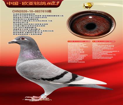 电脑097国家赛1500公里4名X桑杰士777