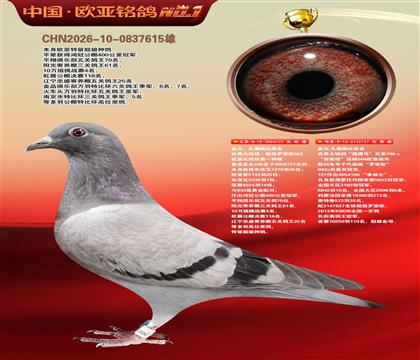盖比原舍超级罗密欧直子727X猎鹰号127