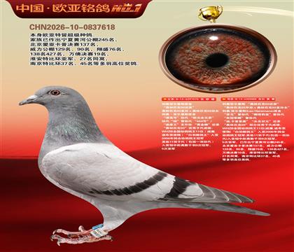 利奥原舍“欧元全兄弟”075X“头名状元”888