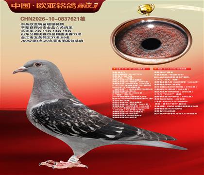 乔斯佛卡门原舍335X220