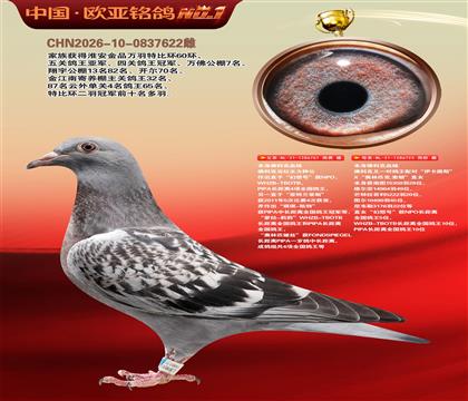 佛科克主力种公761X佛科克伊卡路斯×奥林匹克索朗直女723