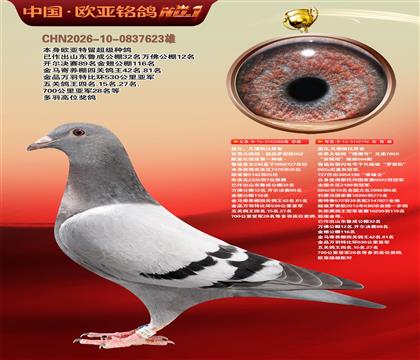 盖比原舍罗密欧088X猎鹰号196