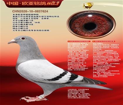 盖比原舍新闪电号直子323X鲁迪直女184