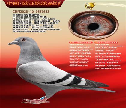 利奥原舍奥林匹克“麻應”854X迪卡普利奥089