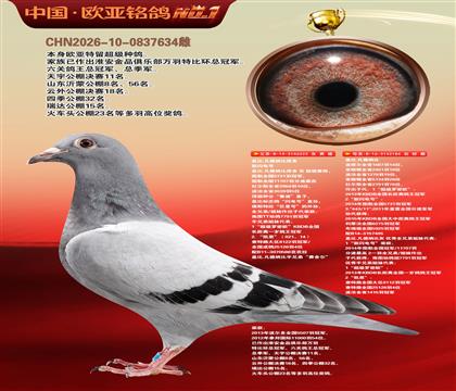 盖比原舍新闪电号直子323X鲁迪直女184