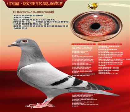 乔尔佛斯豪特原舍987X葛斯顿原舍760