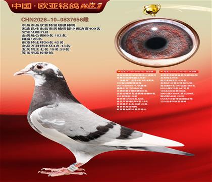 电脑戈马利777X625