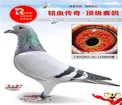 北京壹号、翔天3名外孙