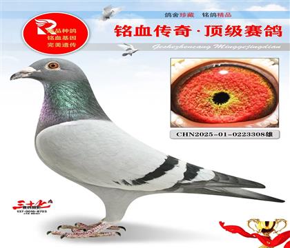 北京壹号、公棚46名同父母