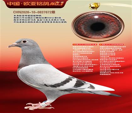 电脑X桑杰士直子989X桑杰士682金母