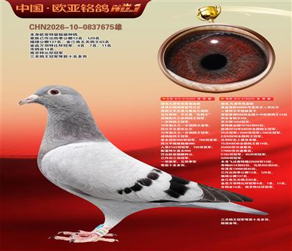 迪克凡登布克原舍奇迹号362X40000号435