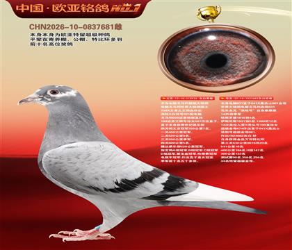 电脑超级种公926鸽王X桑杰士682金母29名