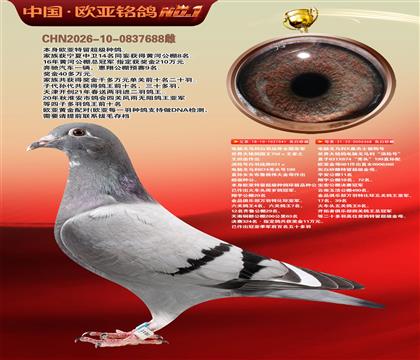 电脑041X桑杰士368天南铜都二年猎奖同父母