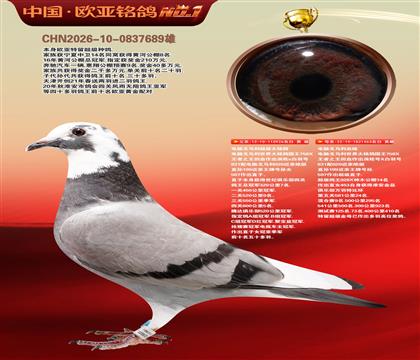 电脑超级种公926X金母453