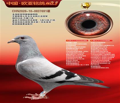 保时捷911血统555X保时捷889