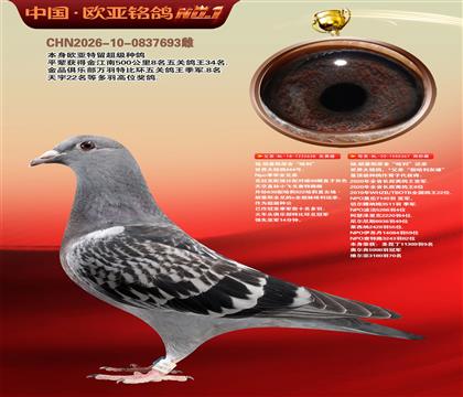 杨.胡曼斯原舍“哈利”638X哈利近亲367