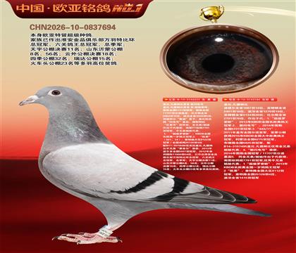 盖比原舍新闪电号直子323X鲁迪直女184