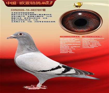 电脑戈马利777X625