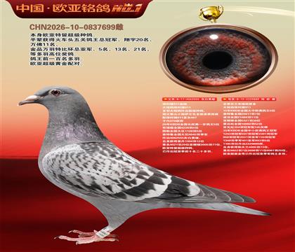 保时捷911血统555X保时捷889