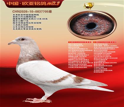 迪克.凡登布克440X基特尔237黄金配对