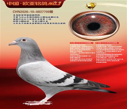 路易斯凡龙778X凡龙333近亲