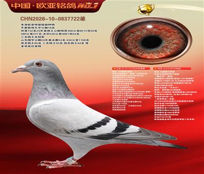 盖比原舍鲁迪直子030X“薇尔玛”新弗雷迪191