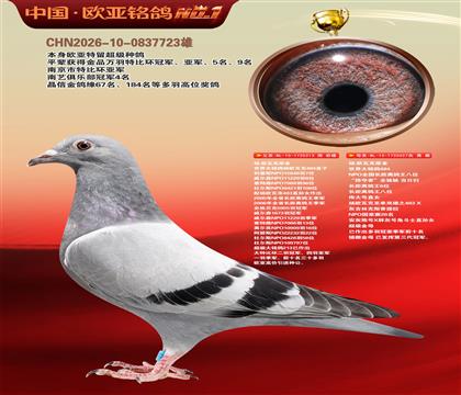 杨.欧瓦克原舍484直子213X“掠奇者”027