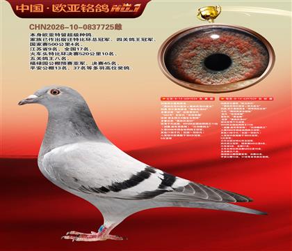 利奥原舍024X欧元孙代029