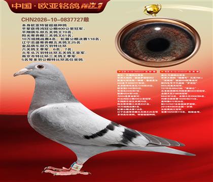 盖比原舍超级罗密欧直子727X猎鹰号127