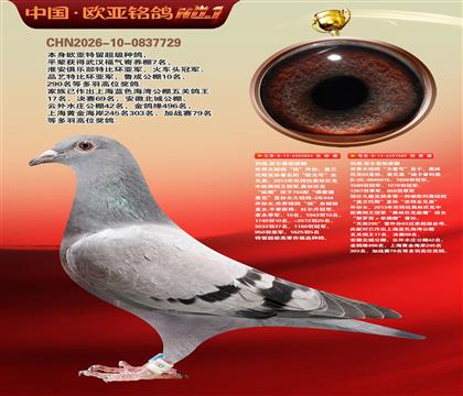 利奥原舍奥林匹克“麻應”854X迪卡普利奥089