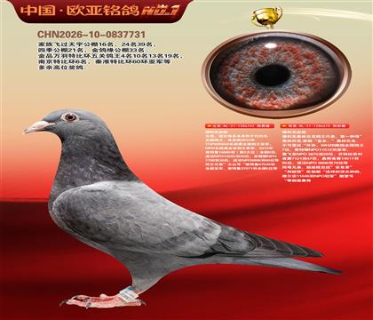 佛科克TOP亚军742 × 奥林匹克索朗直女670