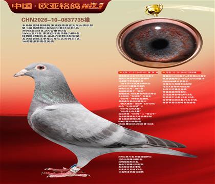 詹森原舍公主号131X130直子X222超级金母