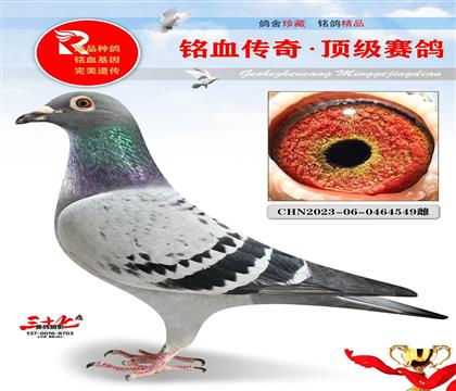 布克斯2号·神州决赛70名